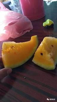 卖楼销售吃瓜,揭秘房产市场的“吃瓜”现象