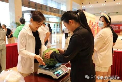 集体吃瓜小说,揭秘网络小说中的八卦风云