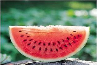 渣浪吃瓜指路,跟随渣浪吃瓜指路，探寻事件真相