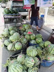 庄河吃瓜事件女生,女生视角下的校园风波