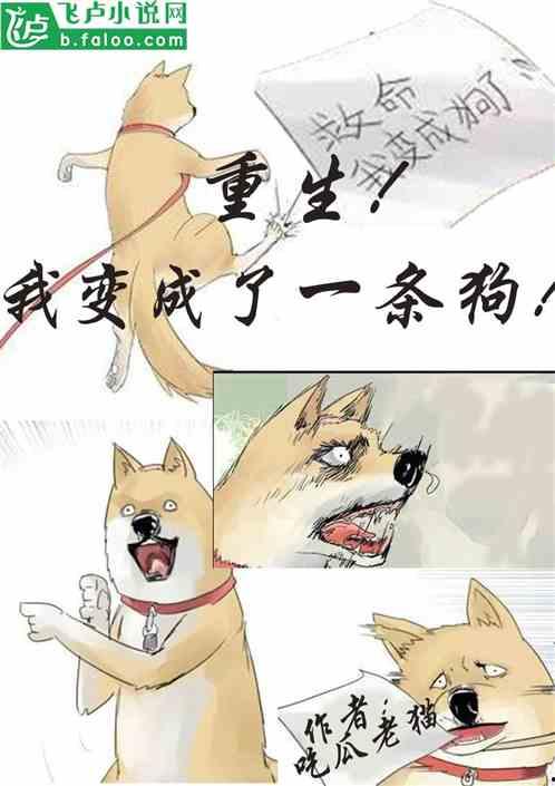 合集吃瓜小说,揭秘娱乐圈背后的秘密与真相